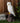 White Owl on Tree Trunk Statuary