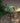 18" Glass Birdbath with Colorful Parrot Paint Finish