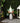 Metal Gnome with Mushroom