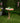 Metal Flamingo Birdbath with Stylish Flamingo Leg Stand