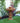 Birdbath Fountain