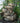 5-Tier Rainforest Fountain with LED Lights