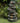 Multiple Tiered LED Fountain