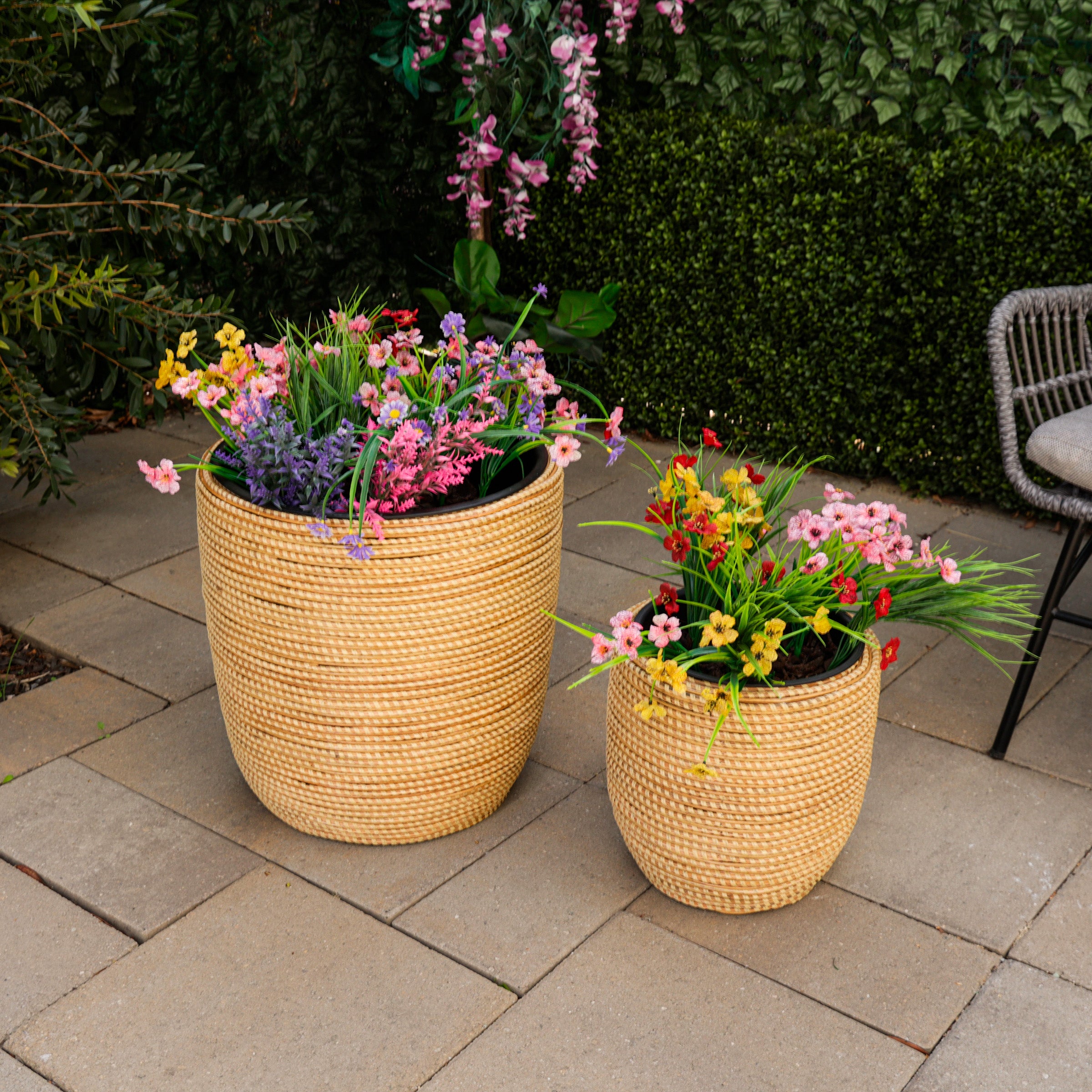 PLANTERS – Alpine 4 U