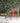 Rattan Grazing Reindeer w/ Bow, Greenery and LED Lights Décor