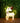 White Mesh Light-Up Unicorn with Green Mane and Tail