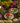 Bird on a Branch Stepping Stones