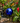 Blue Glass Gazing Globe