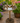 Bronze Birdbath with 2 Birds
