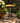 Metal Birdbath with Sunflower Pattern, with bird and leaf