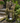 Three-Tier Waterfall Tree Trunk Fountain with LED Lights