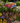 18" Floral Metallic Mosaic Glass Birdbath with Metal Stand