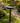 Bronze Birdbath with Bird Decoration
