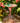 Metal Flamingo Birdbath with Stylish Flamingo Leg Stand