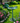 Flower Birdbath with Bird Decoration