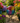 Colorful Mosaic Leaves Gazing Globe