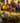 Colorful Tulip Metal Garden Stakes
