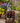 Old Fashion Pump Barrel Fountain