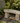 Large Cardinal Memorial Garden Bench
