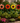 Colorful Glitter Sunflower Metal Garden Stakes