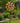 Vibrant Metal Jeweled Blade Wind Spinner Garden Stake