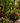 Yellow & Green Metal Flower Kinetic Wind Spinner Garden Stake
