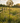Yellow Sunflower Kinetic Wind Spinner Stake