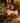 Duck with Pink Glasses and Scarf