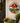 Metal Cardinal and Sunflower Wall Decor