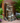 Triple Tiki Fountain with LED Lights