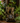 Rainforest Tabletop Fountain with LED Lights