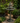 Tiered Pedestal Fish Fountain