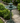 Three Tiered Pedestal Fountain
