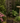 Hanging 6-Cup Tiered Fountain