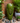 Jar Fountain with LED Lights - Green