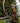 Solar Cardinal Birdhouse Cascading Barrel Fountain