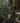 Rainforest Waterfall Tree Trunk Fountain with LED lights