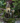 Castle Fairy Garden Fountain