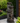 5-Tier Bowls Waterfall Fountain with LED Lights