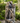 Rainforest Waterfall Tree Trunk Fountain with LED Lights