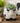 Ceramic Cow Planter with Drainage Hole