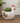 Ceramic Hen Planter with Drainage Hole