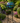 Gazing Globe with Peacock Feather Design