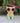 Pig with Flower Glasses and Boots