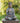 Buddha Statue