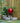 Red Glass Gazing Globe