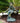 Girl Jumping Over Boy Statue