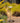 Glass Stake Birdbath w/Flowers and Hummingbird