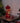 Red Metal and Glass Lantern with 8 Warm White LED Lights