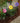 Metal Flower with Insect Garden Stake